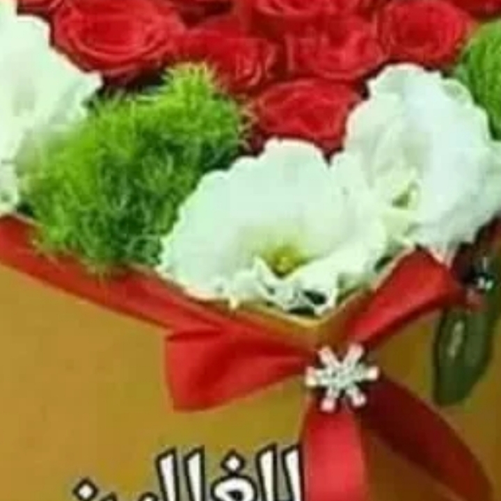 Fayez Mohamed_gWFXV