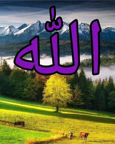 ���� ���� ����_DsnQ_