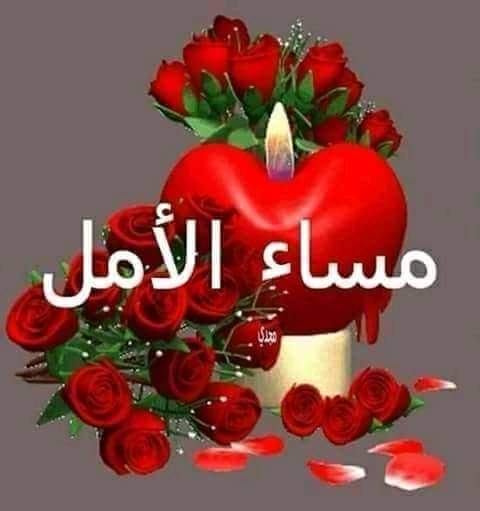 ���� ��� ���� �����_Shtyo