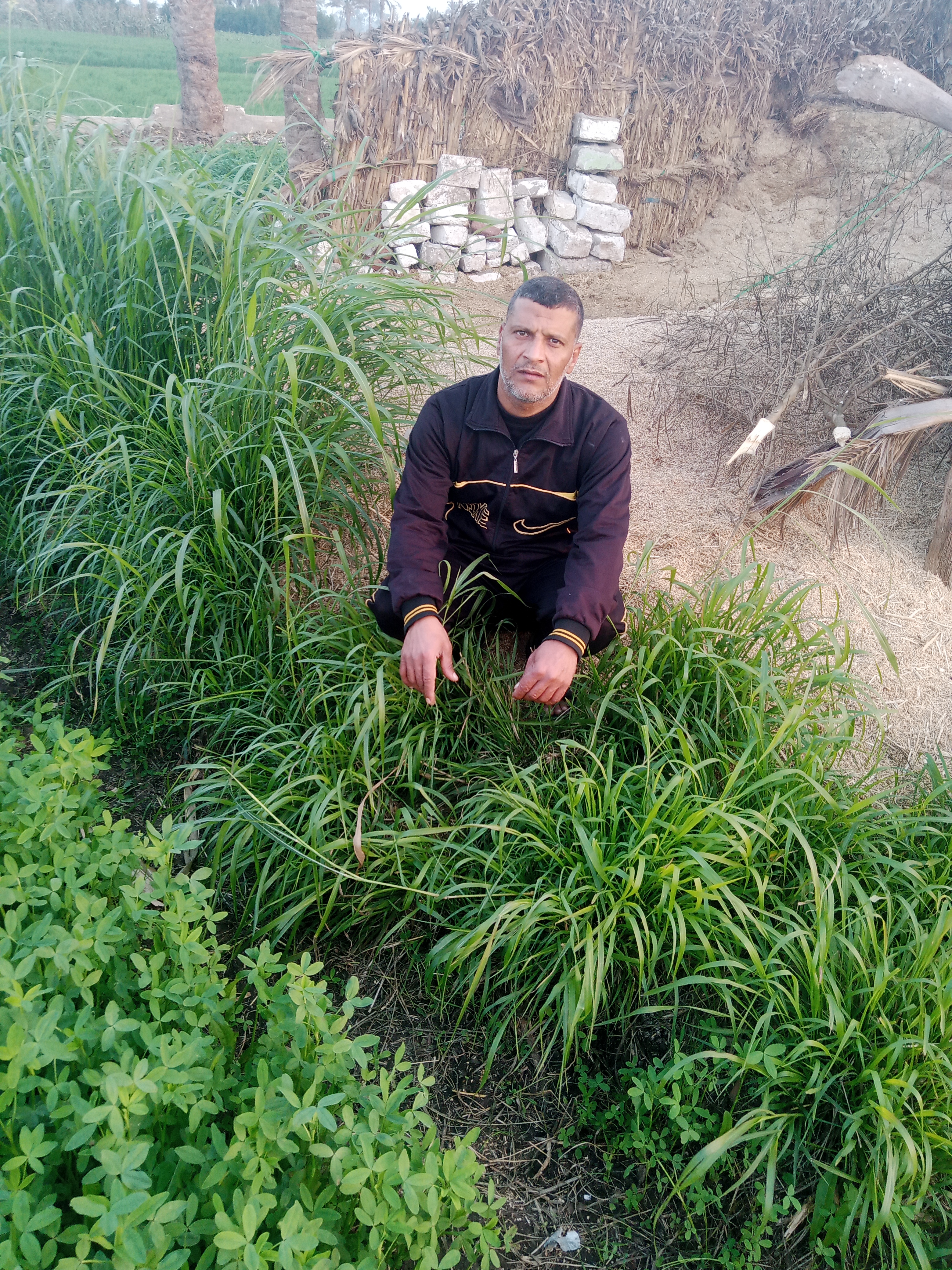 ���� ��� ����_ufeX8