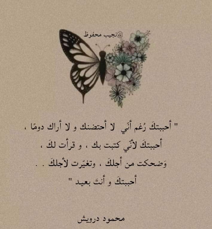 ���� ����_NsVvP