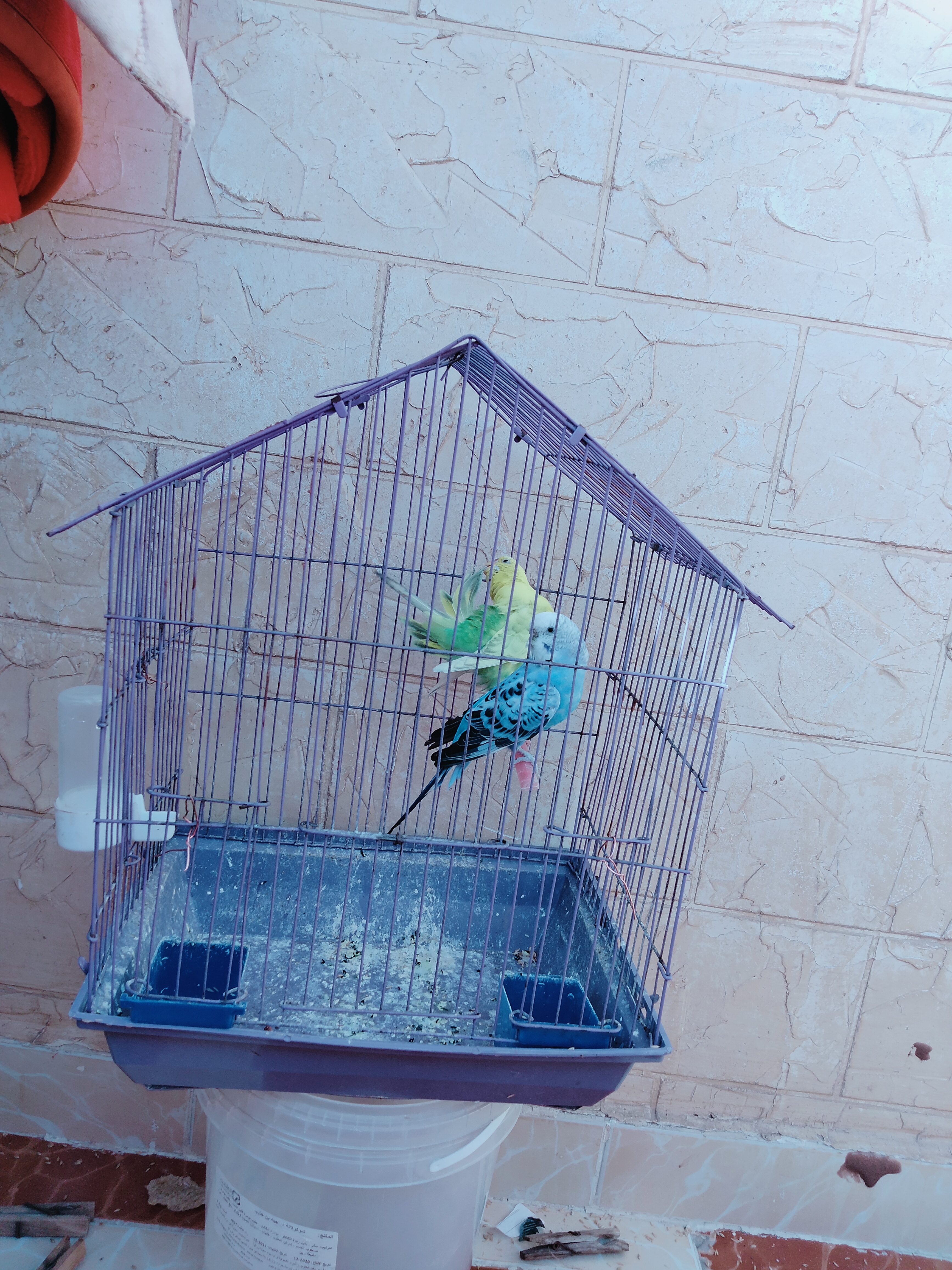 ���� ����_i3mTP