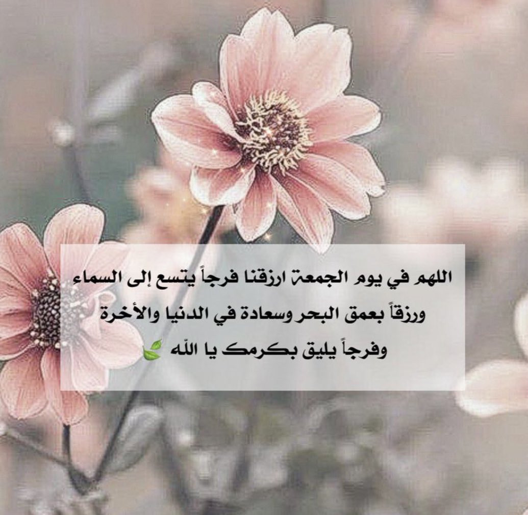 Robyi ALsaalih_nKxF9