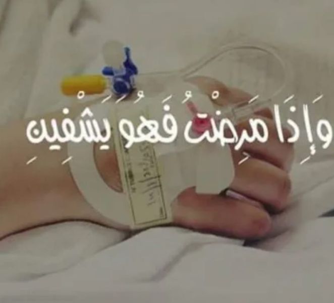 ��� ���� ������