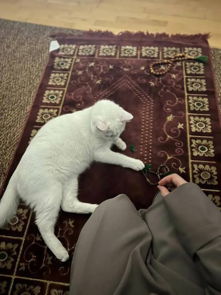 �����_2FKM9