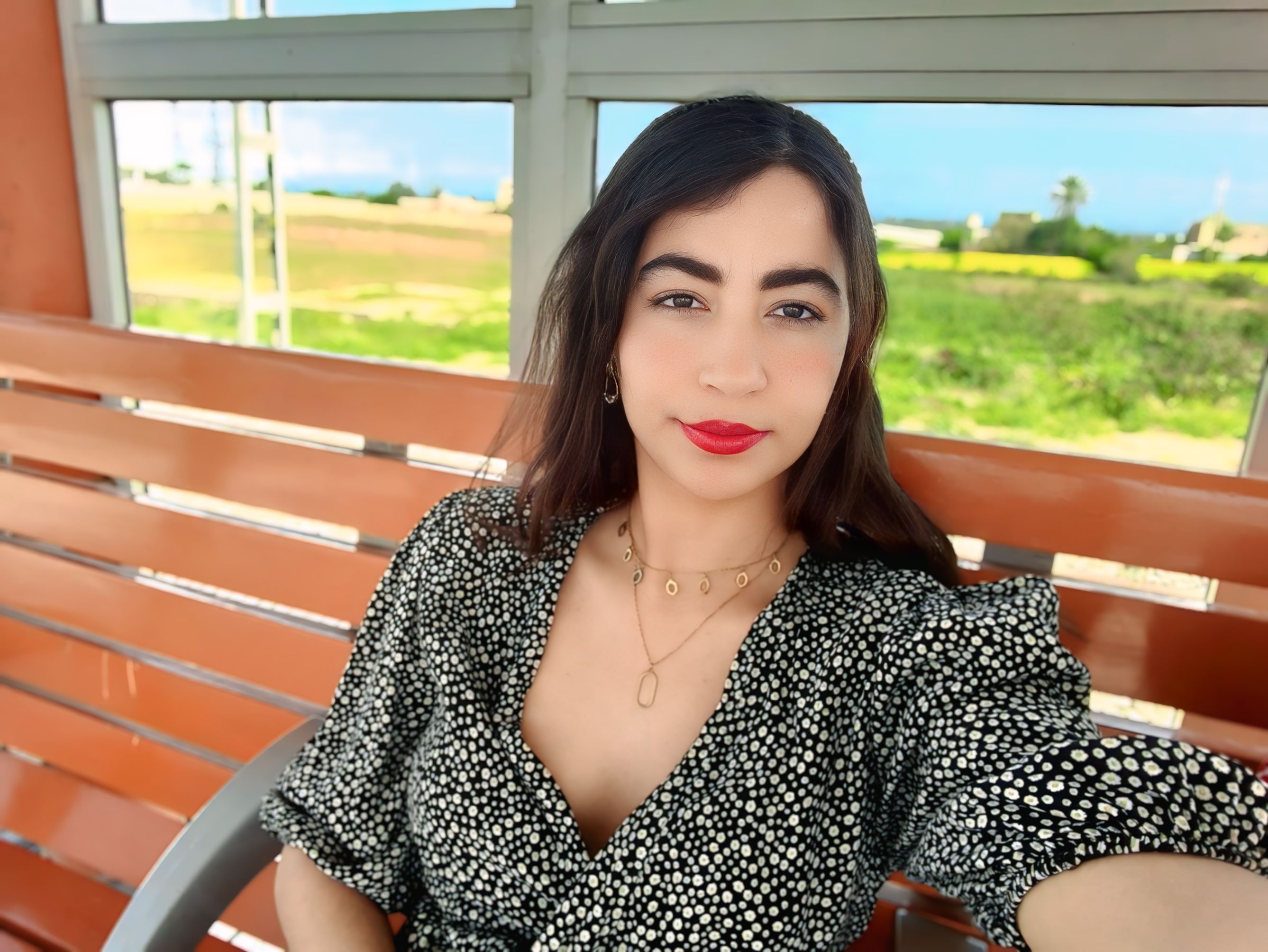 ���� �����