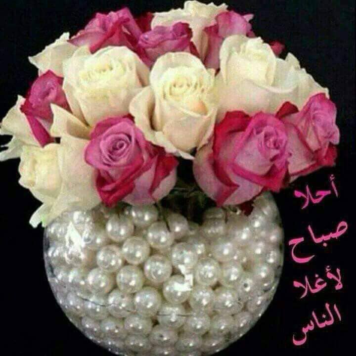 Bgf Yefg_NAQ3w