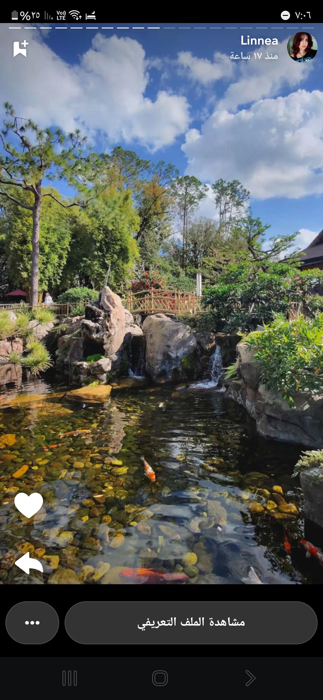 ��� ������ ������_zszFp