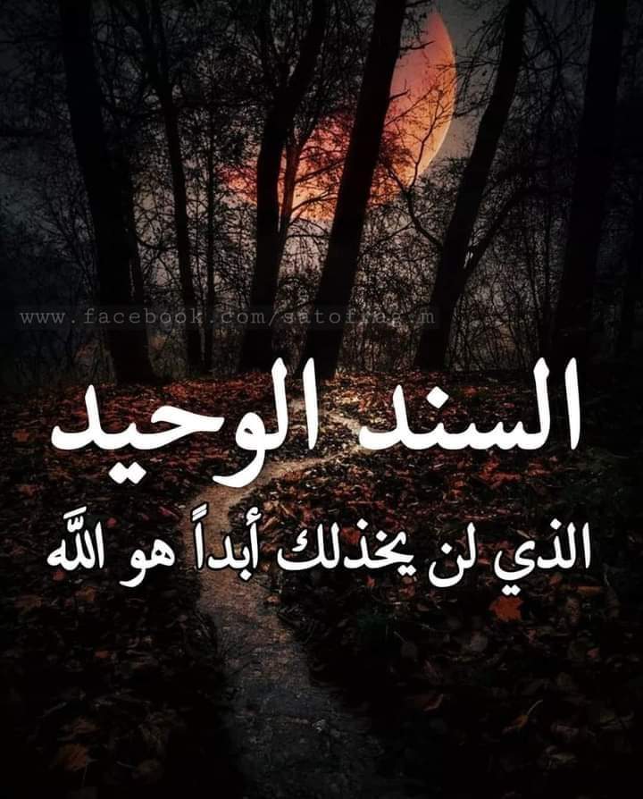 Ahmed Abo Zayed_hZTtj