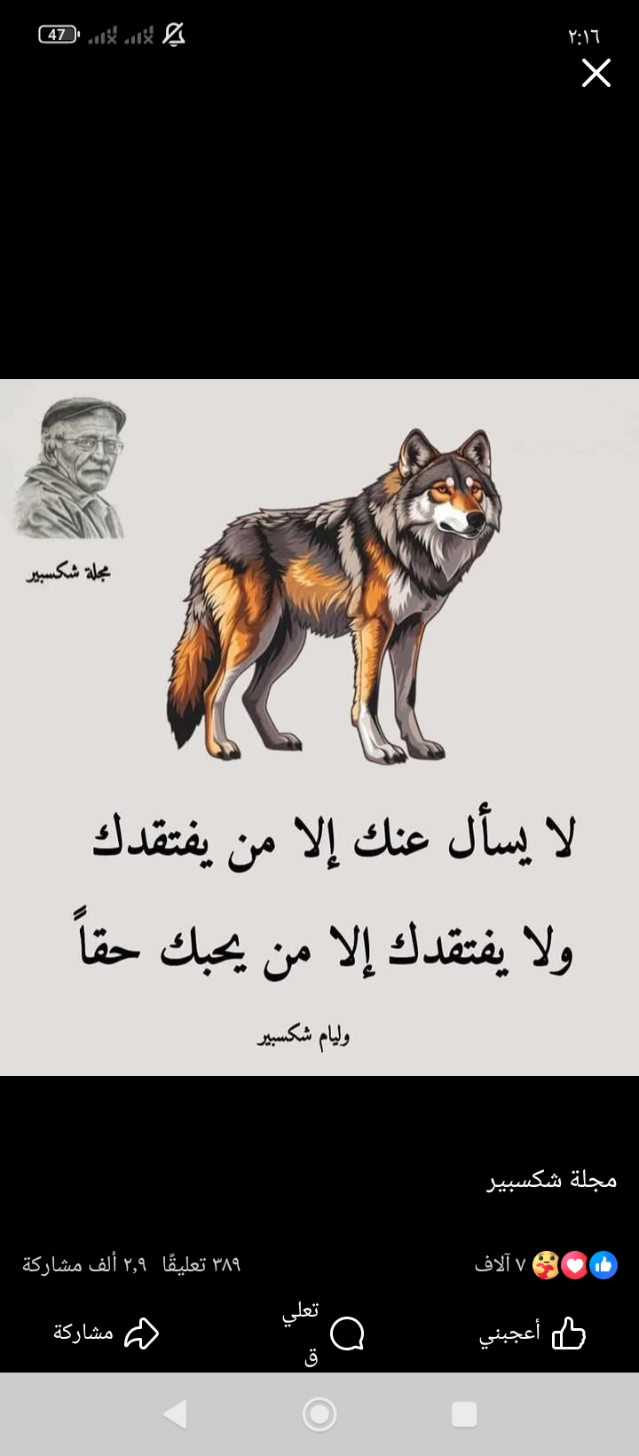 ������ ������� �� ���� ������_XOMmH