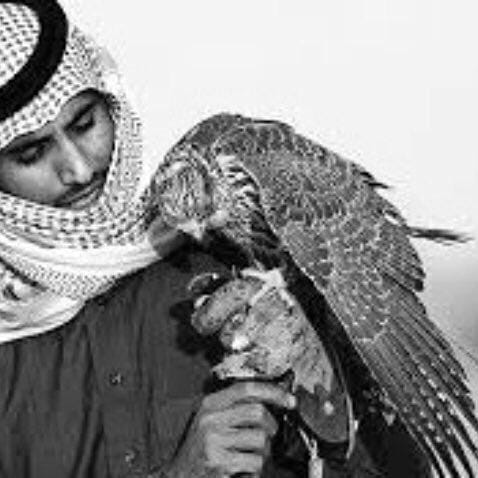 ��� KSA