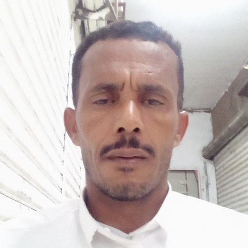 ������� ���� ������_NhqRV