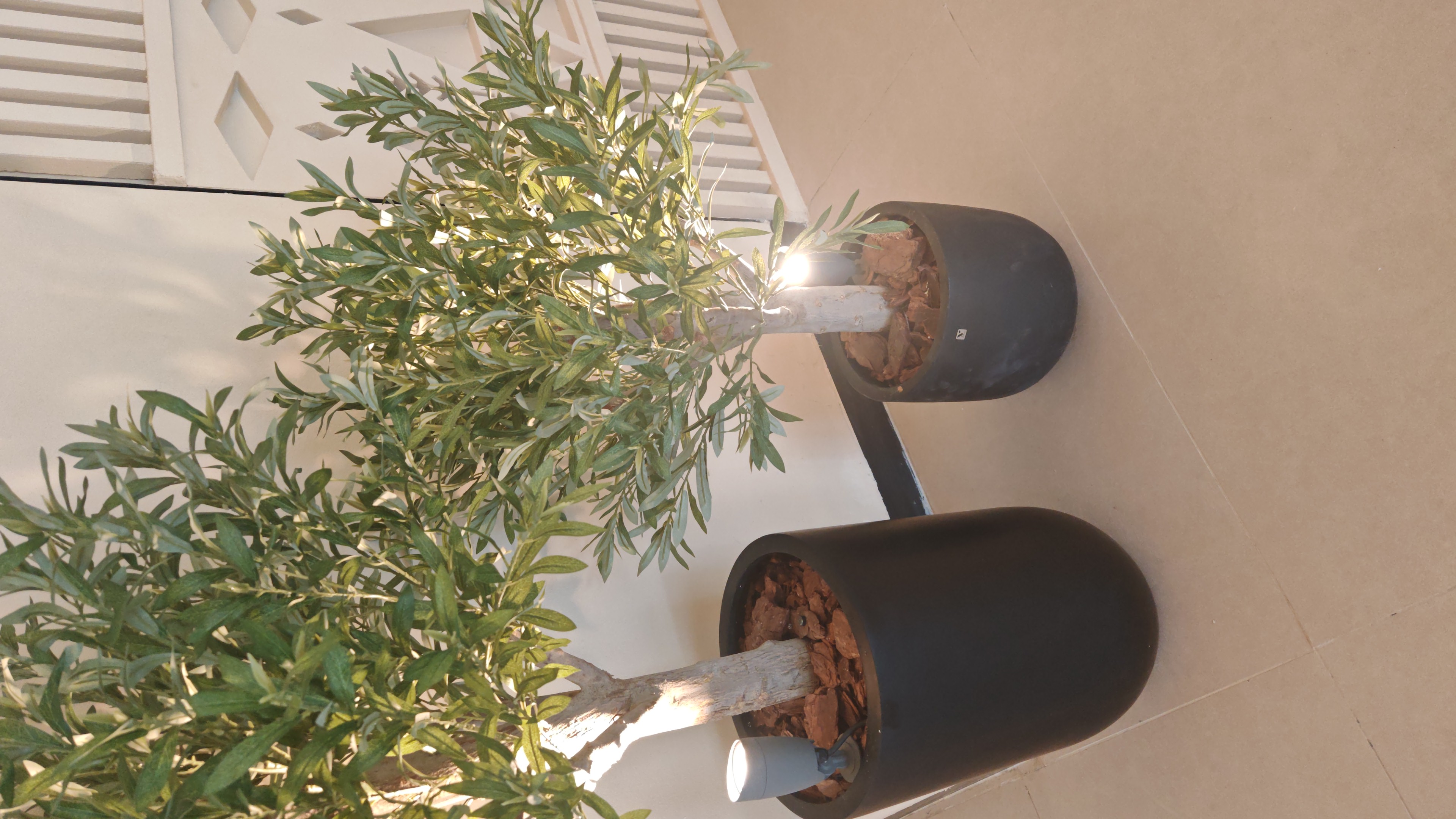 ��� ��� ���_PYW7x