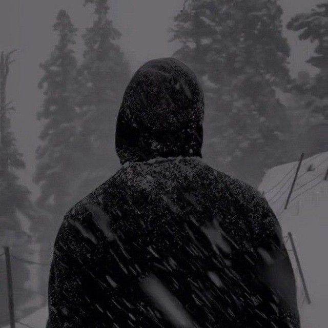 ���� ������