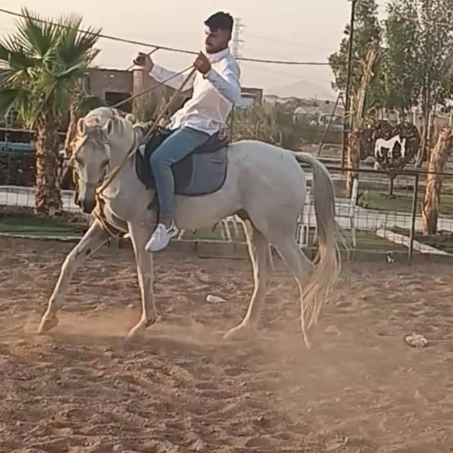 ���� �����_hqYSy