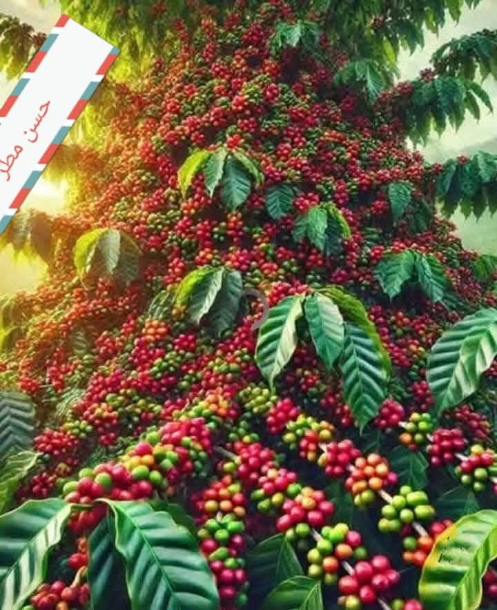 ���� ����� �����_jeDBw